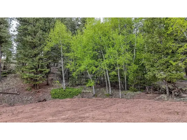 918 Pinon, Florissant, CO 80816