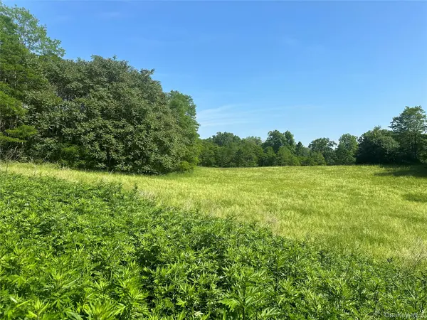 Address not disclosed, Tivoli, NY 12583