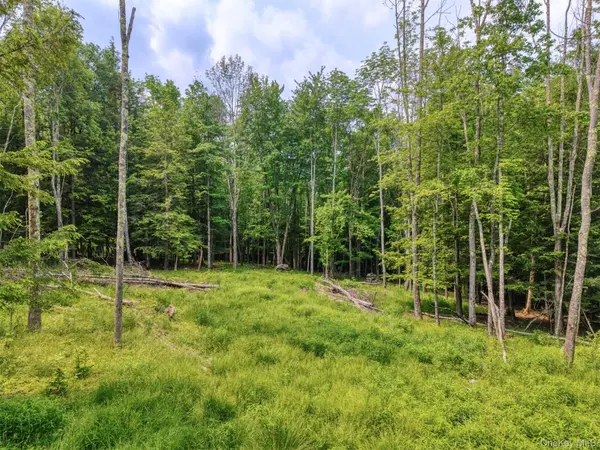 TBD Boulder Brook lot B12 RD, Windham, NY 12496