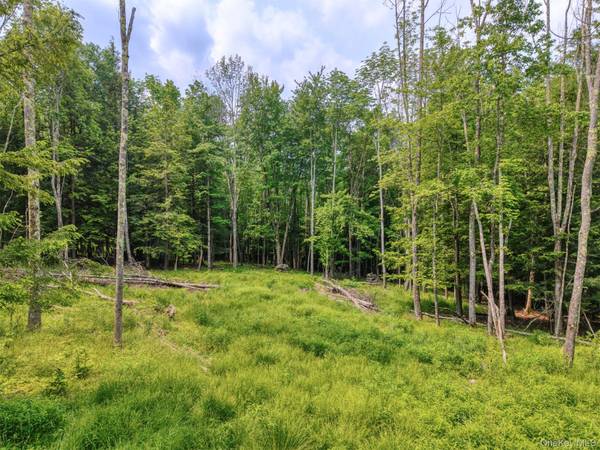 TBD Boulder Brook lot B12 RD, Windham, NY 12496