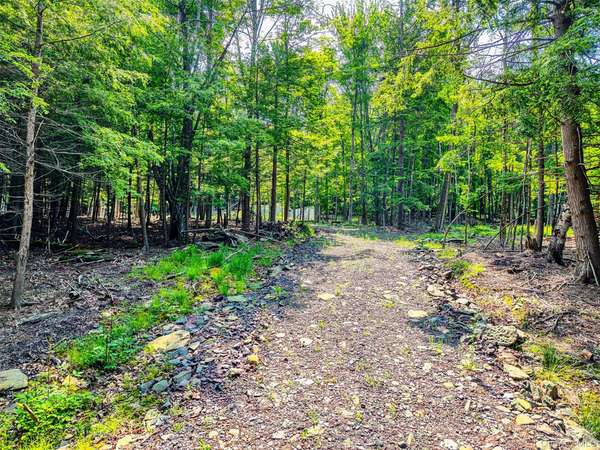 TBD Boulder Brook lots 33-38 RD, Windham, NY 12496