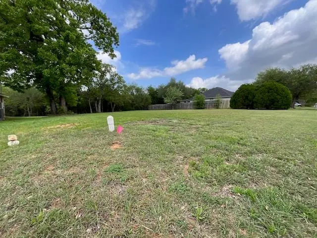 117 Allison CV, Elgin, TX 78621