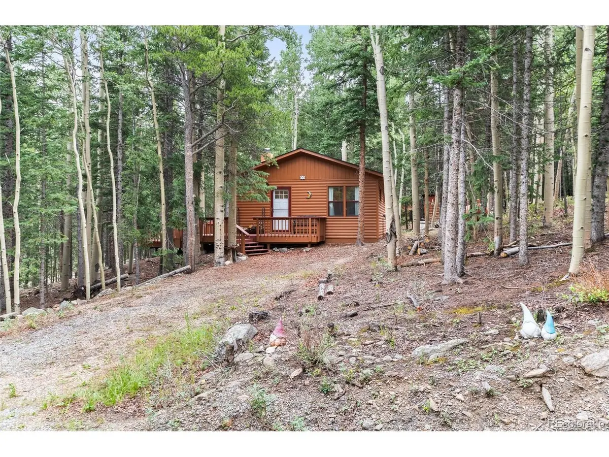 31 Aspen Loop, Idaho Springs, CO 80452