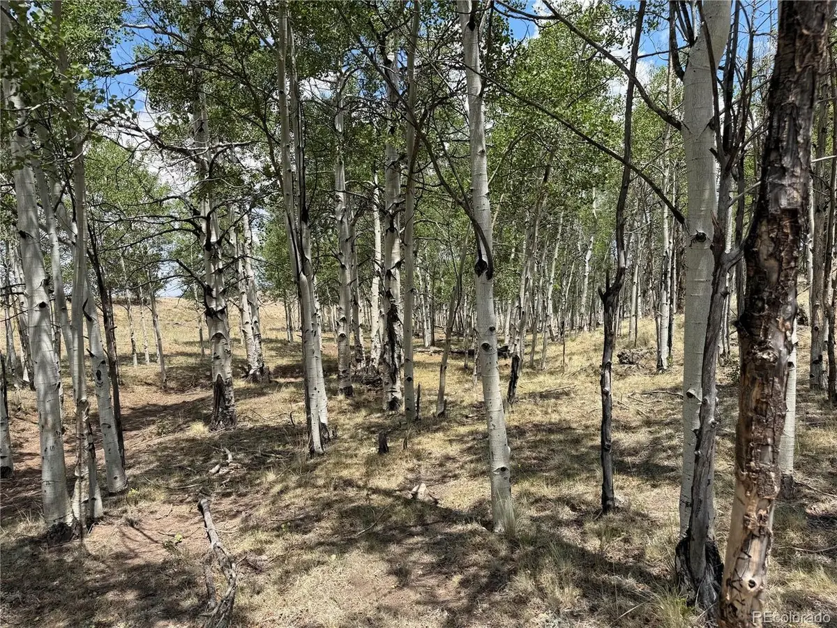 832 Ahlers, Hartsel, CO 80449