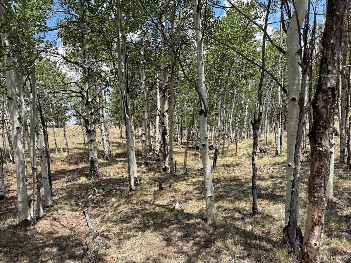 832 Ahlers, Hartsel, CO 80449