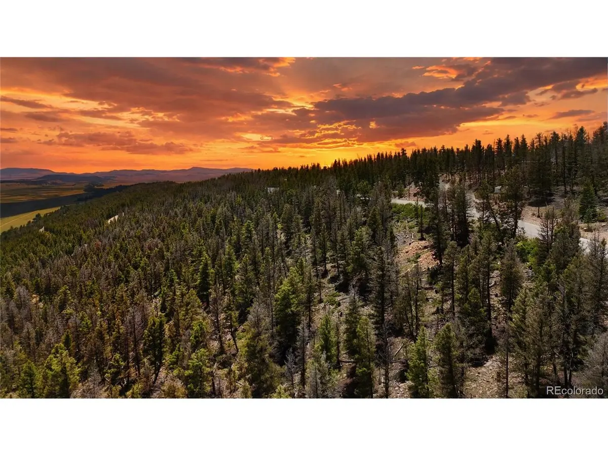 1396 Middle Fork, Fairplay, CO 80440