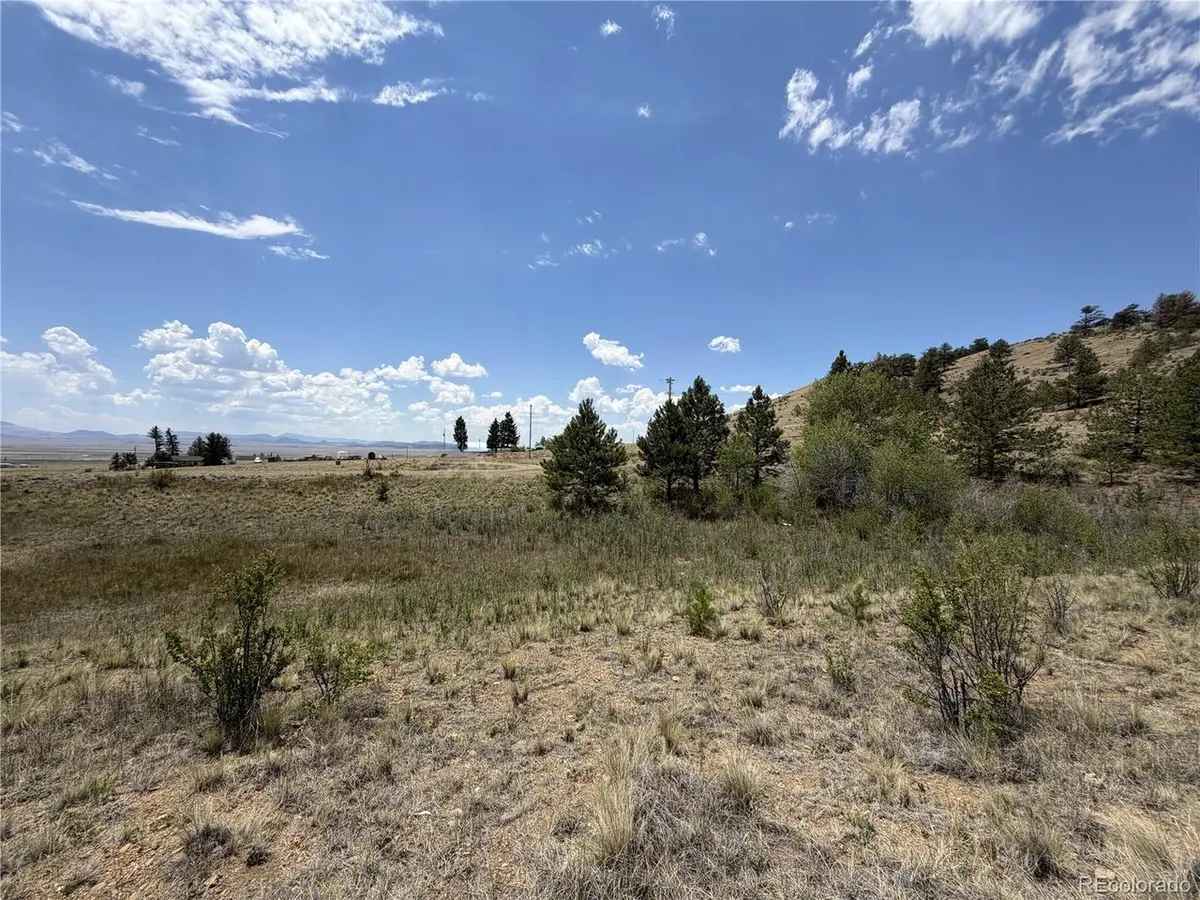 0 Trout, Hartsel, CO 80449