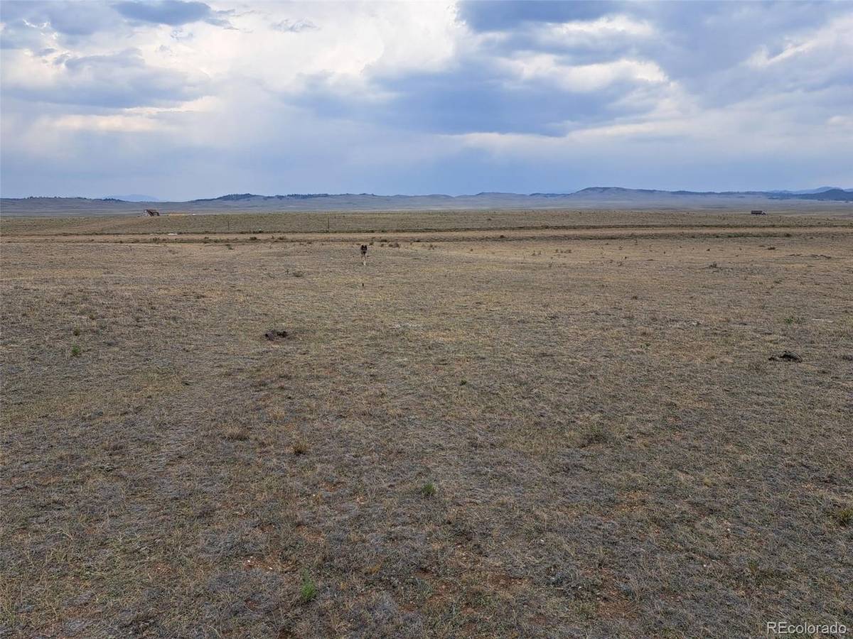 279 Sioux, Hartsel, CO 80449