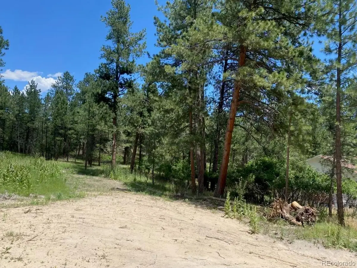 1025 Tenderfoot, Larkspur, CO 80118