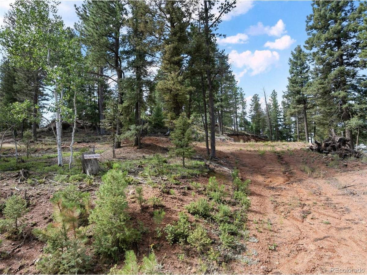 422 Spring Valley, Divide, CO 80814
