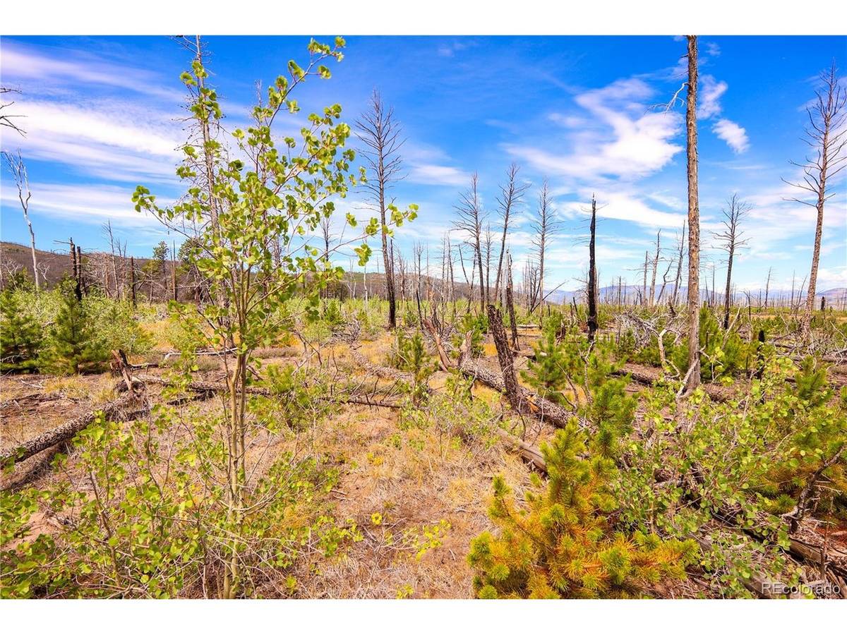 1386 Emery, Fort Garland, CO 81133