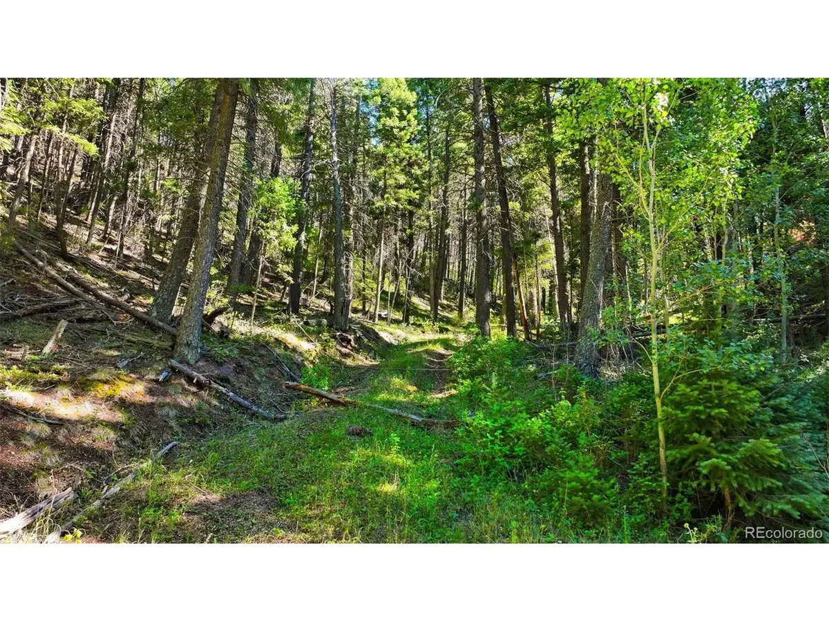 13446 S Firedog, Larkspur, CO 80118