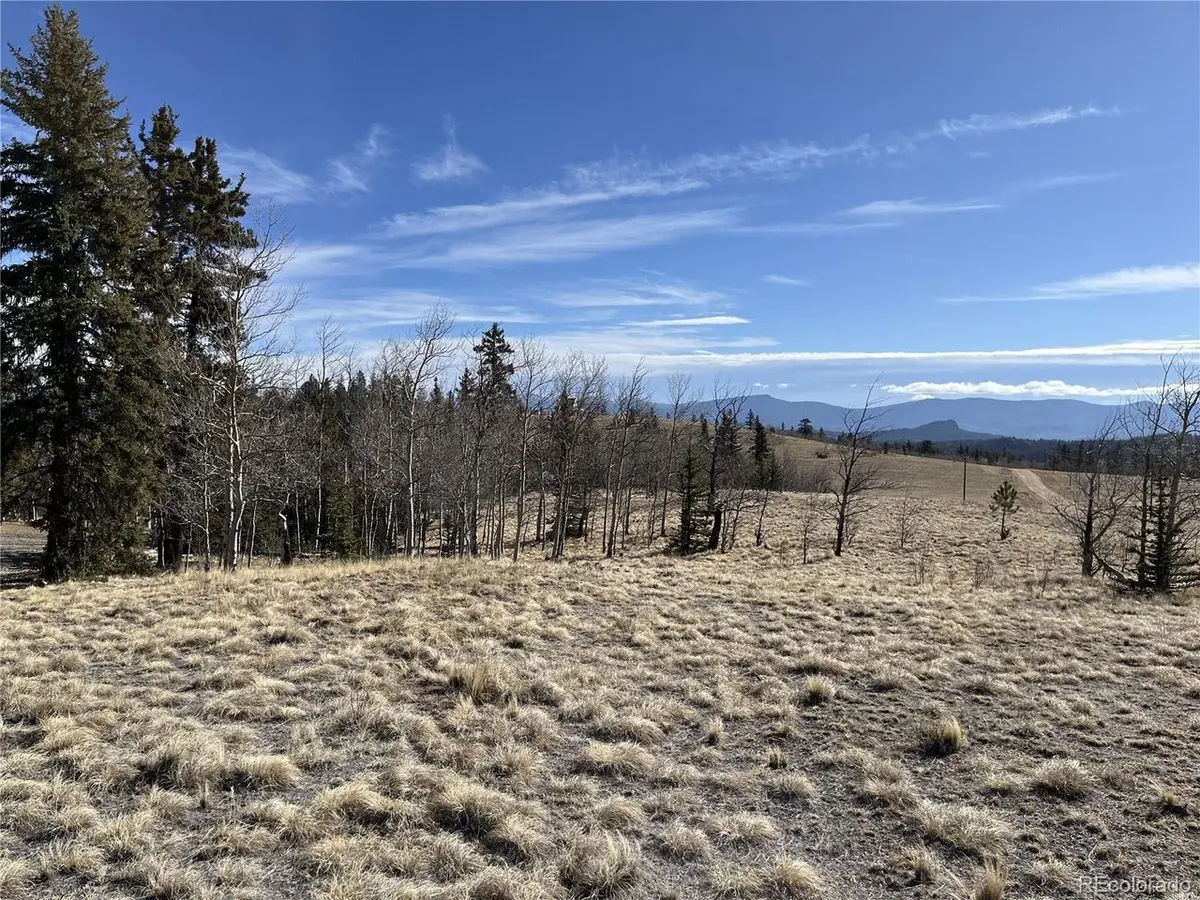 325 Shoshone, Como, CO 80456