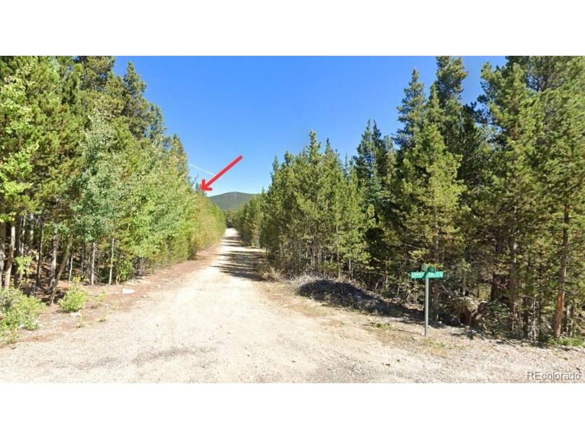 Address not disclosed, Idaho Springs, CO 80452