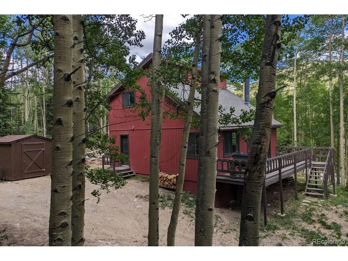 288 Roberts, Alma, CO 80420