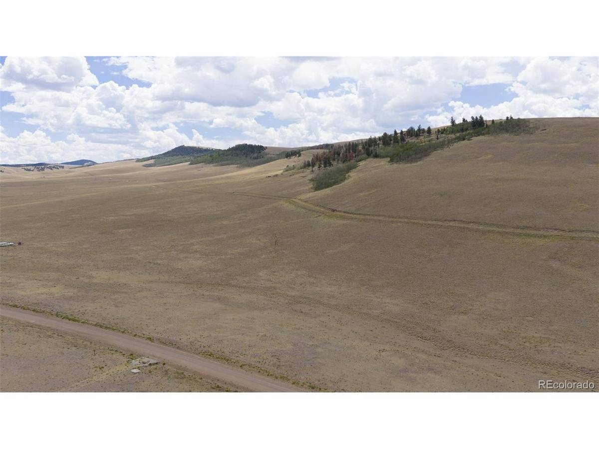 Lot 3912 County Road 53, Hartsel, CO 80449