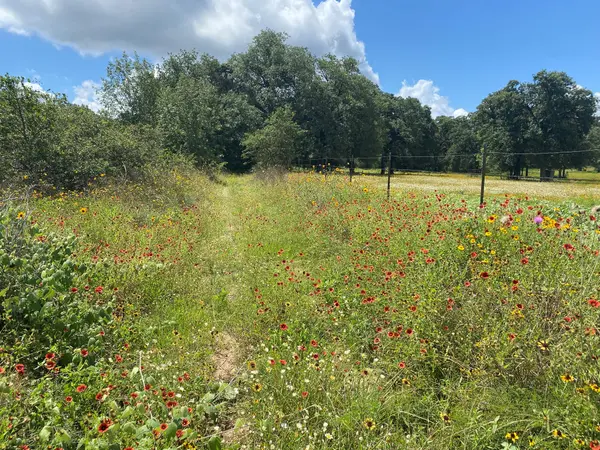 TBD Deep Sand LN, Elgin, TX 78621