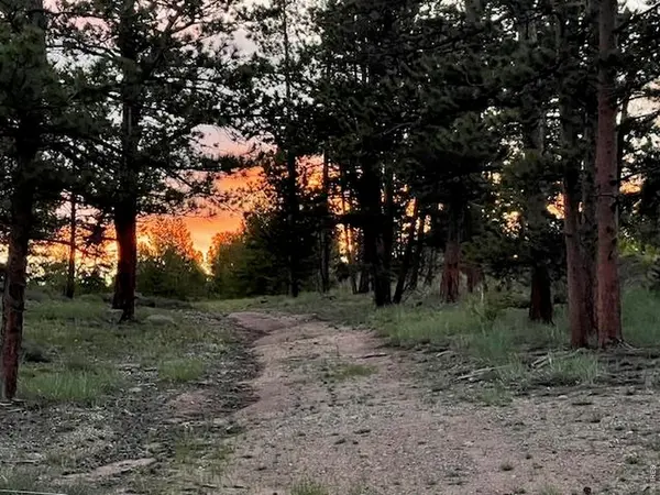 3086 Fox Acres, Red Feather Lakes, CO 80545