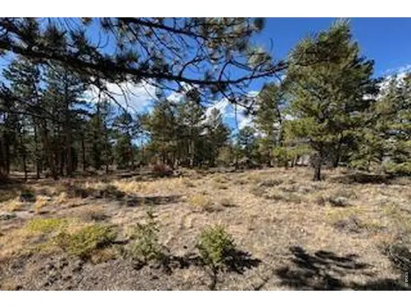 2921 Fox Acres, Red Feather Lakes, CO 80545