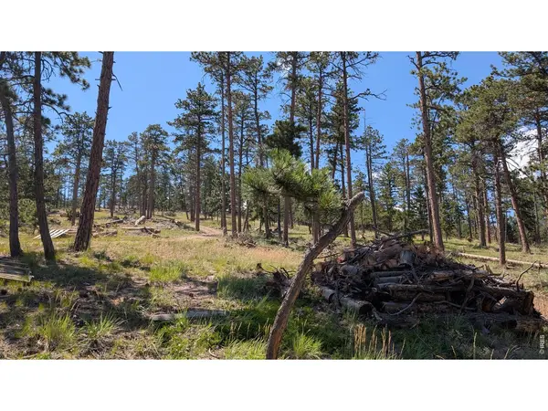 0 Old Camp, Bellvue, CO 80512