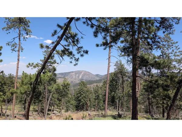0 Old Camp, Bellvue, CO 80512