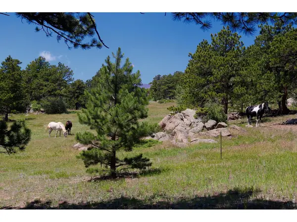 636 Ranch, Ward, CO 80481