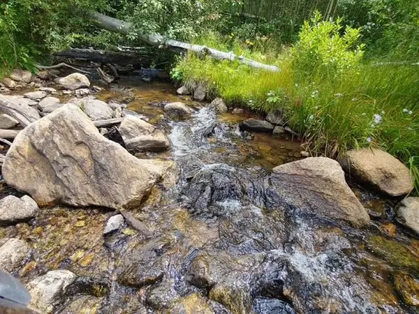 Spiritwood Ln, Bellvue, CO 80512