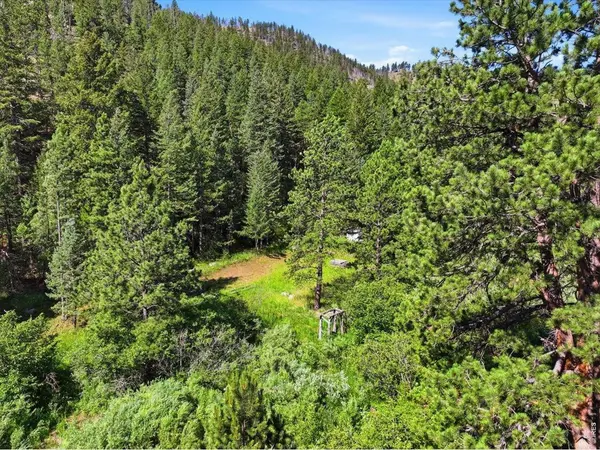 Spiritwood Ln, Bellvue, CO 80512
