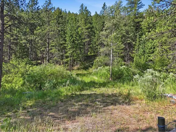 Spiritwood Ln, Bellvue, CO 80512