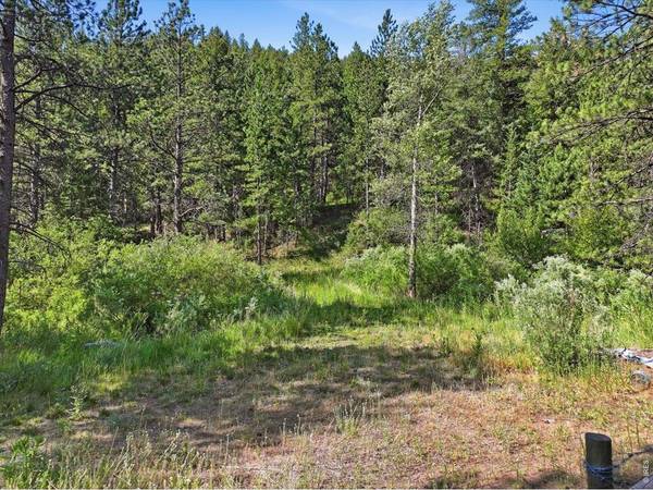 Spiritwood Ln, Bellvue, CO 80512