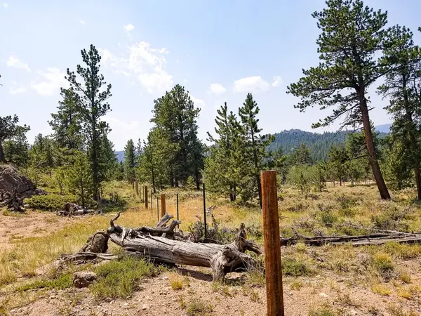 107 Miami, Red Feather Lakes, CO 80545