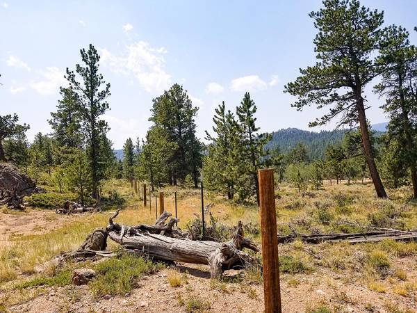 107 Miami, Red Feather Lakes, CO 80545