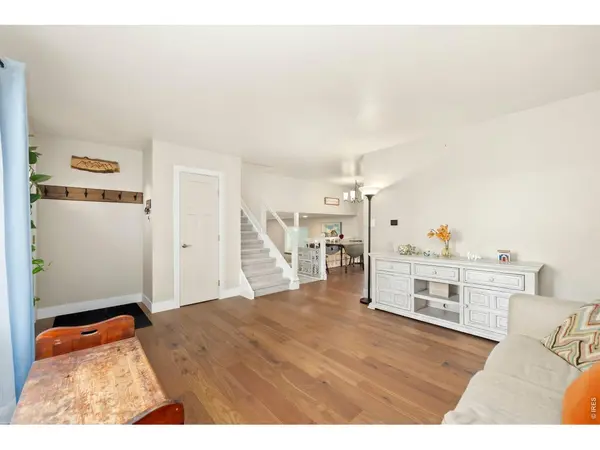 135 Sunflower, Windsor, CO 80550