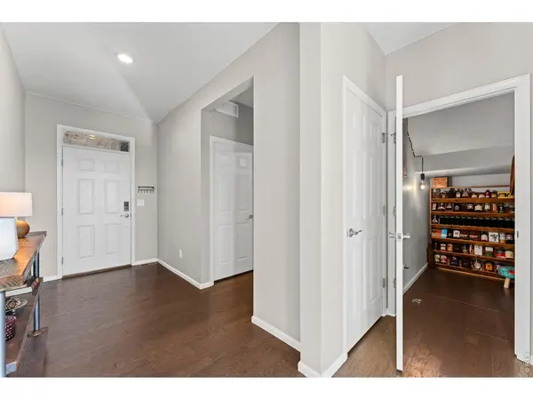 860 Camberly, Windsor, CO 80550