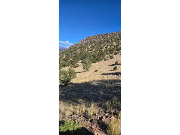 0 County Road 41g (Camero Road), Center, CO 81125