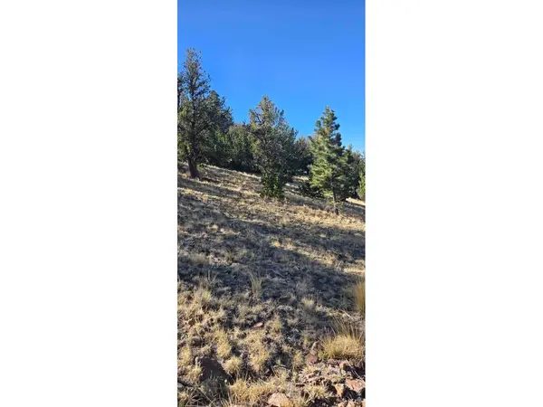 0 County Road 41g (Camero Road), Center, CO 81125