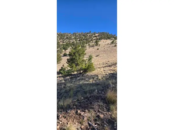 0 County Road 41g (Camero Road), Center, CO 81125