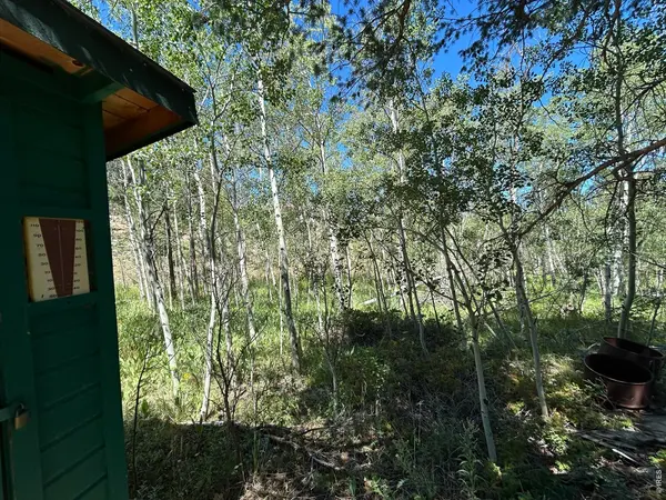 745 Nokomis, Red Feather Lakes, CO 80545