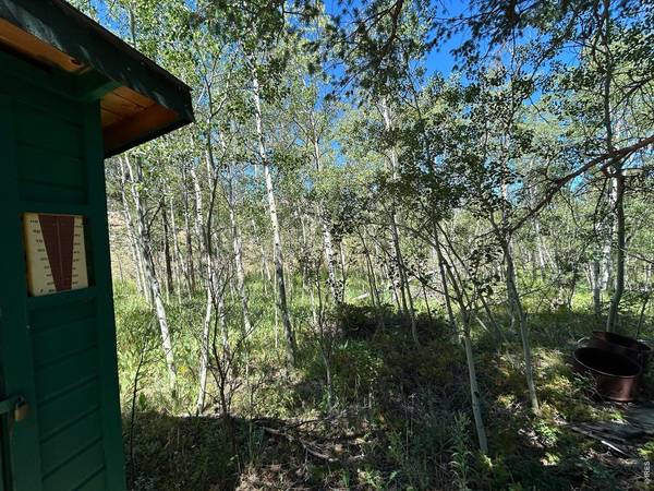 745 Nokomis, Red Feather Lakes, CO 80545