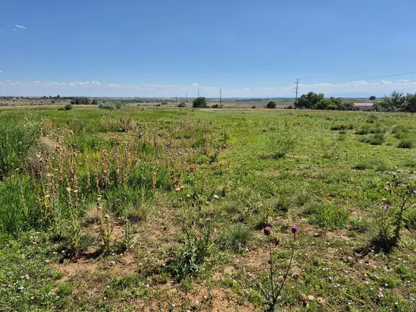 9140 County Road 54, Milliken, CO 80543