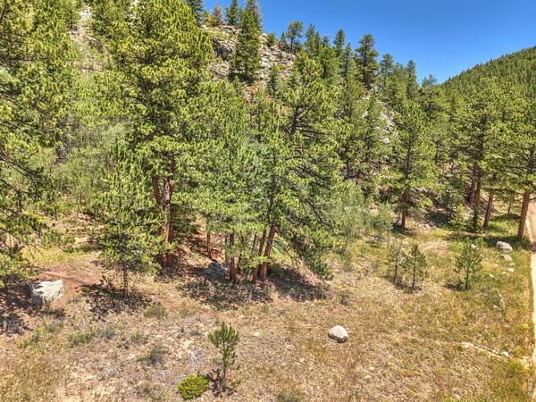 0 Cold Springs, Nederland, CO 80466