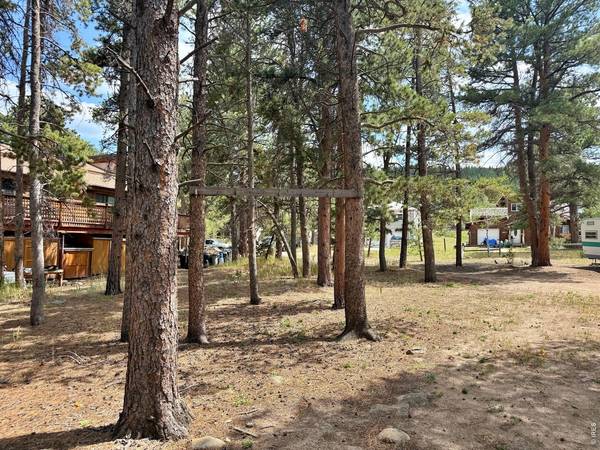 655 W Spruce, Nederland, CO 80466