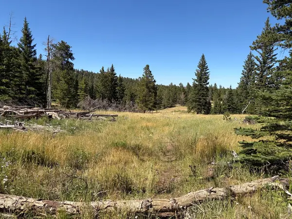 Pratt Creek, Livermore, CO 80536