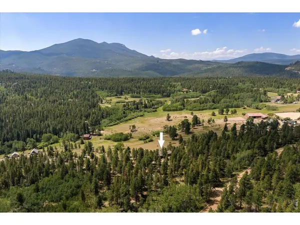 1650 Lazy Z, Nederland, CO 80466
