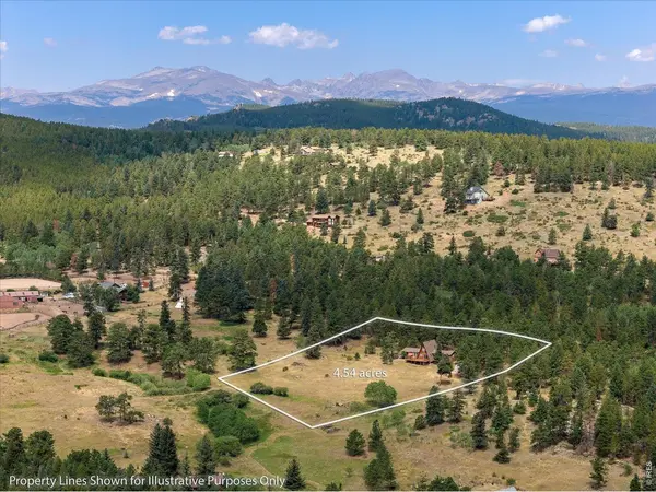 1650 Lazy Z, Nederland, CO 80466