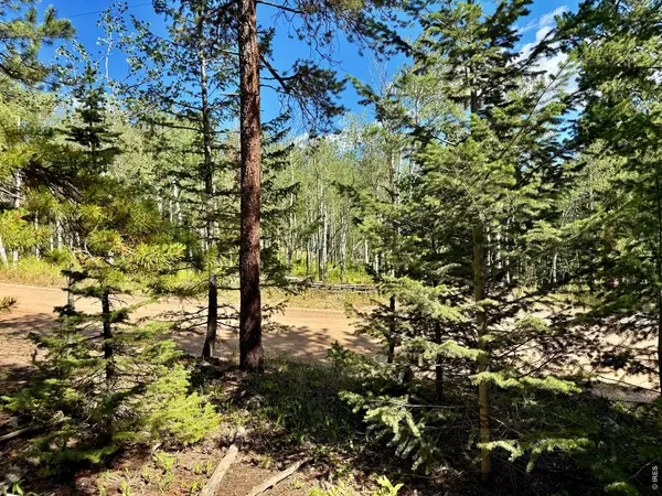 312 Ridge, Ward, CO 80481