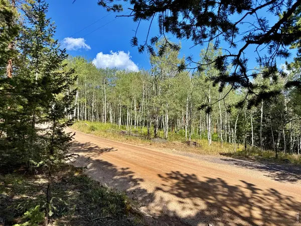 312 Ridge, Ward, CO 80481