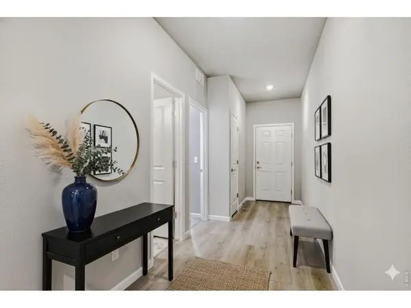 648 Noola, Windsor, CO 80550
