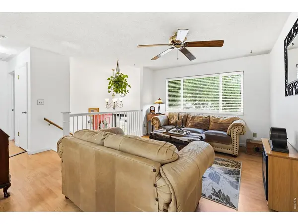541 Sycamore, Windsor, CO 80550
