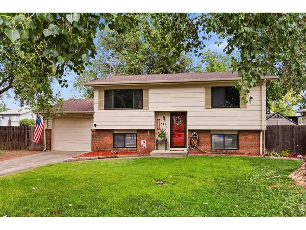 541 Sycamore, Windsor, CO 80550